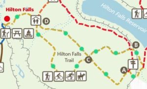 hilton falls mountain biking